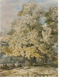 Richard Beavis, R.W.S. - Deer Grazing Under A Tree In A Parkland Landscape