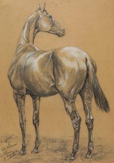 Richard Benno Adam - „Pinzgauer“.