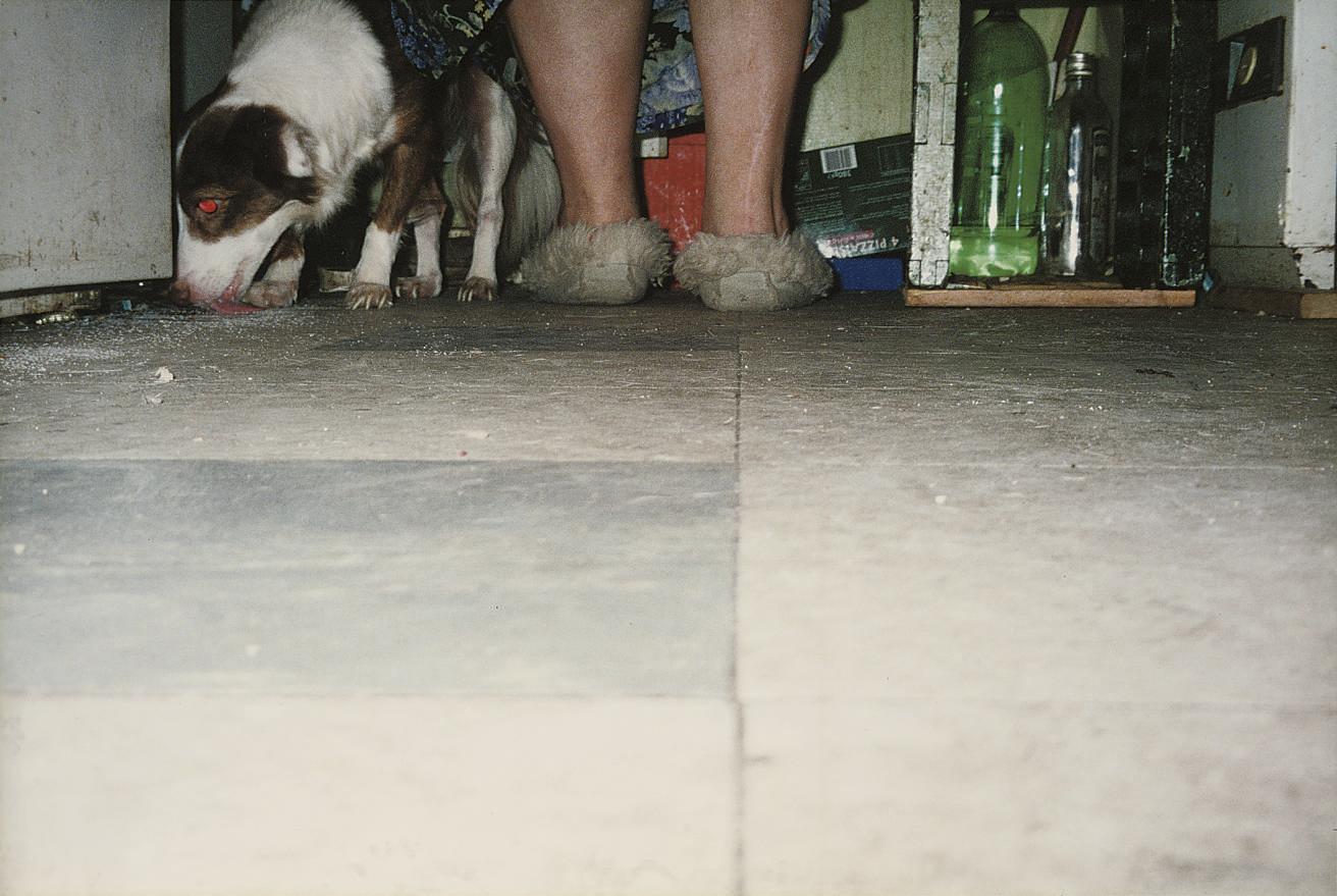 Richard Billingham - Untitled (RAL36)