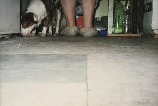 Richard Billingham - Untitled (RAL36)