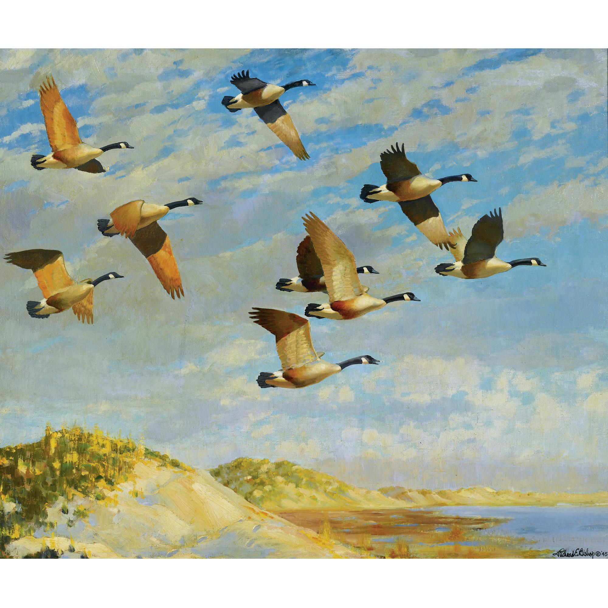 Richard Bishop - In From The Sea