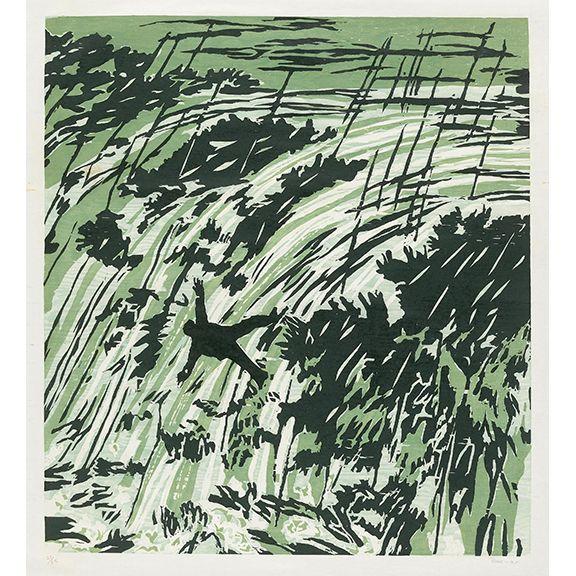 Richard Bosman - Rapids