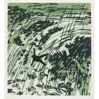 Richard Bosman - Rapids