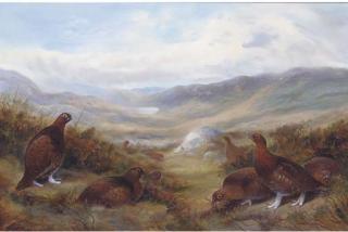 Richard David Kristupas - Grouse