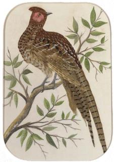 Richard David Kristupas - Resting Woodcock