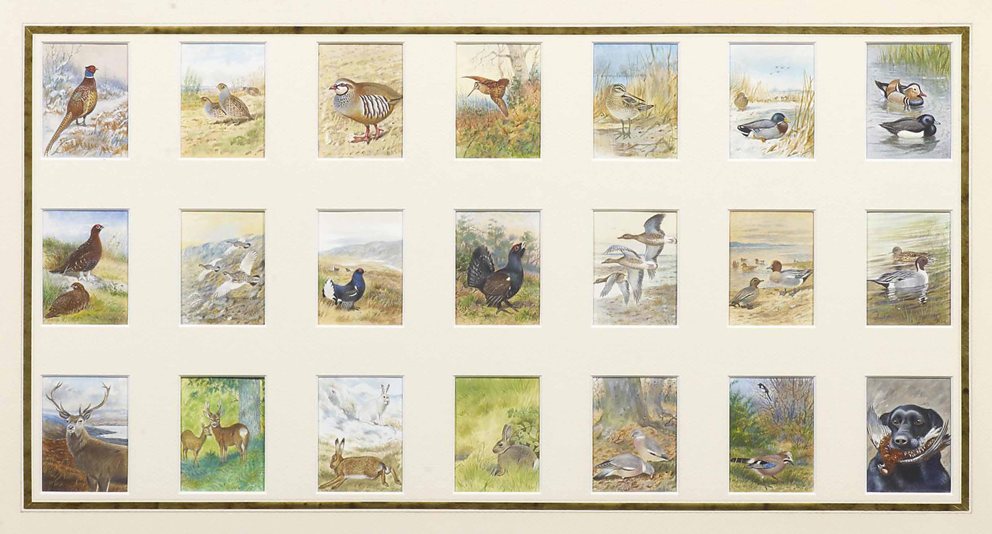 Richard David Kristupas - Twenty-one game cards, including pheasant, partridge, woodcock, snipe, mallard, grouse, hares and deer