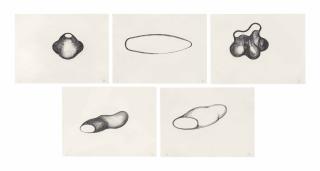 Richard Deacon, R.A. - Untitled I-V