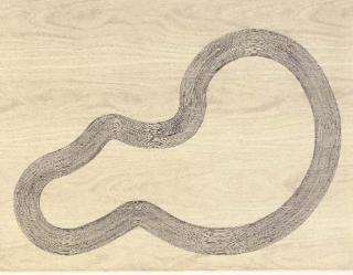 Richard Deacon - Muzot