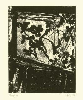 Richard Diebenkorn - Window