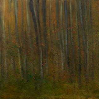 Richard Dunlop - Sapling Forest with Burnt Trunk, 2003