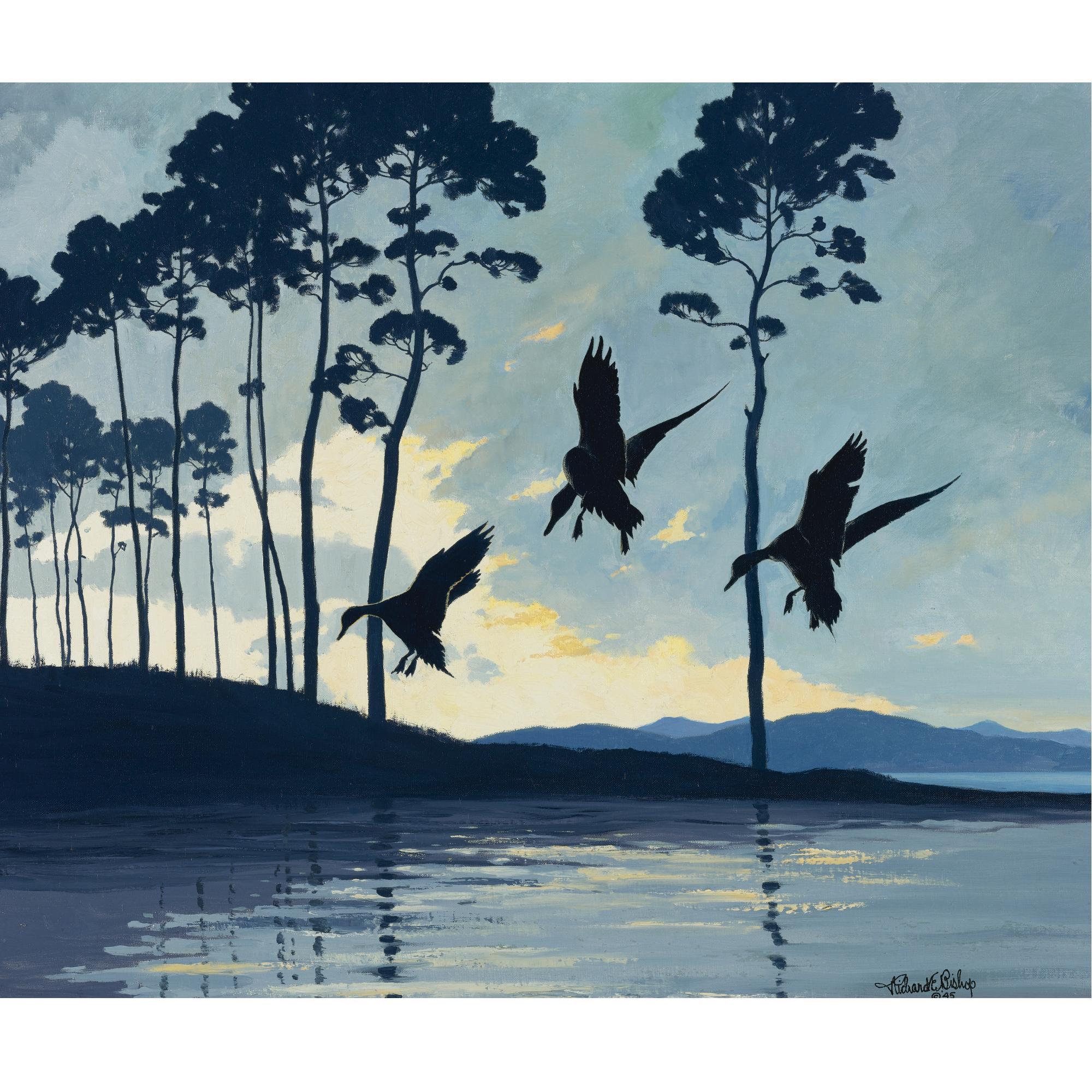 Richard Evett Bishop - American Pintails At Sunset