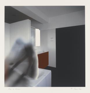 Richard Hamilton - Bathroom - Fig. 1 (L. 182)