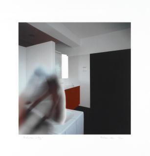 Richard Hamilton - Bathroom - fig. 1