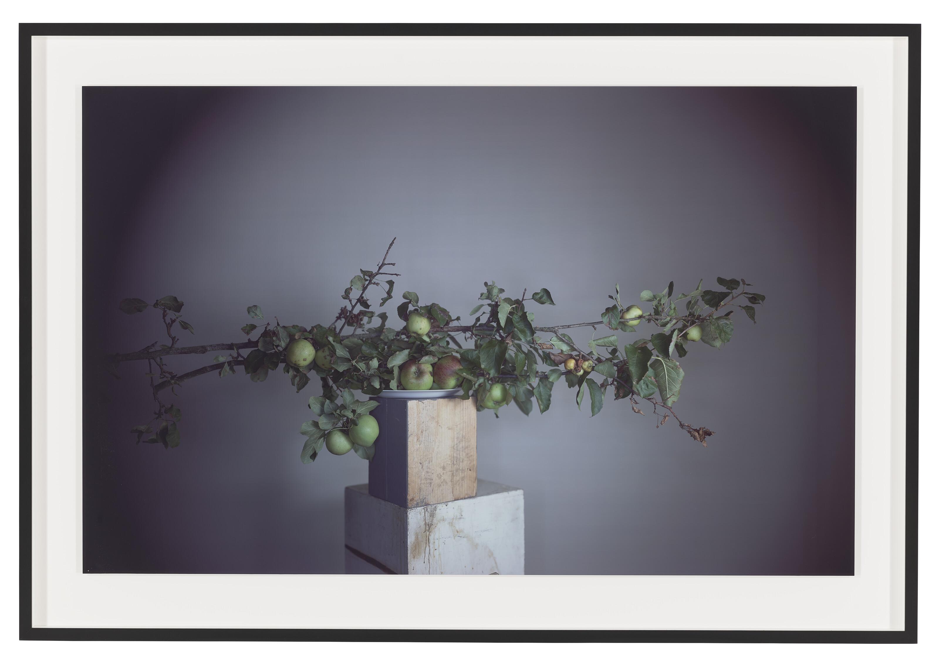 Richard Learoyd - It\'s about time, 2016