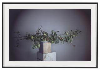 Richard Learoyd - It\'s about time, 2016