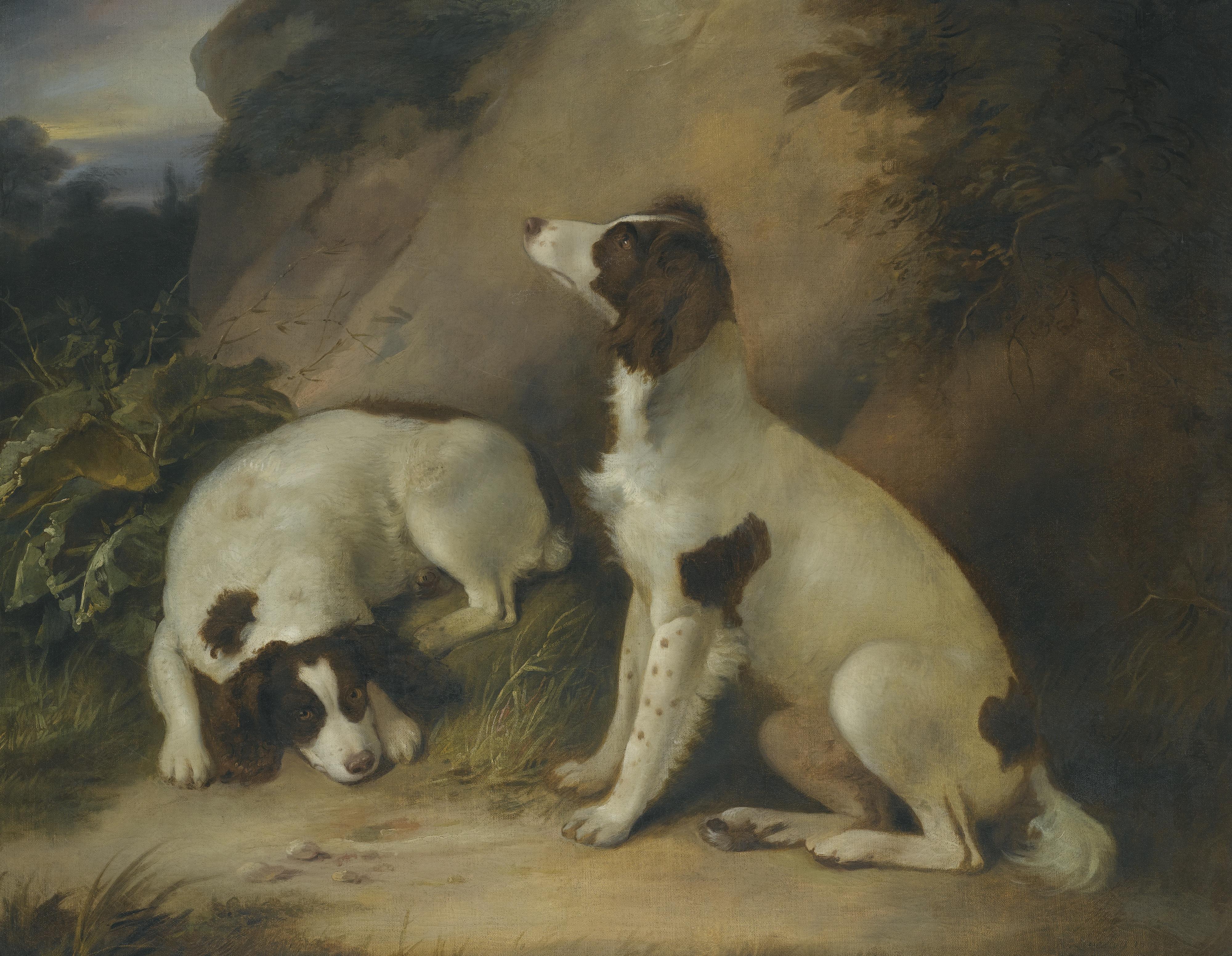 Richard Livesay - Two Springer Spaniels In A Rocky Landscape