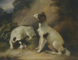 Richard Livesay - Two Springer Spaniels In A Rocky Landscape