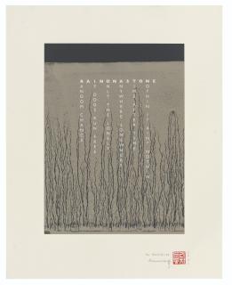 Richard Long, R.A. - Rain on a Stone