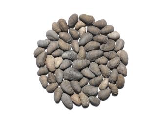 Richard Long RA - Small Hock Cliff Circle