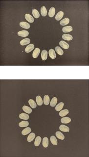 Richard Long - (a) Fingerprint Circle, 1994 (b) Fingerprint Circle, 1994