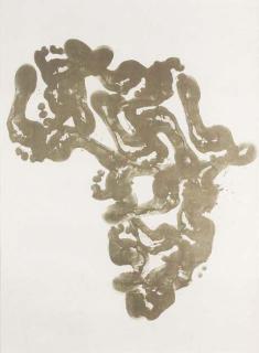 Richard Long - Africa