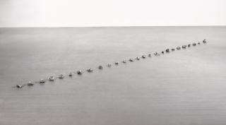 Richard Long - Beer Beach Flint Pebble Line