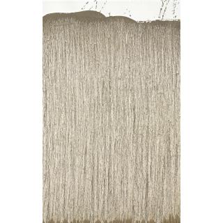 Richard Long - Mississippi Mud