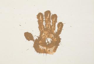 Richard Long - Mud finger piece