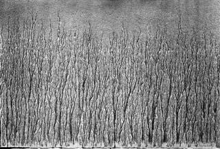 Richard Long - River Avon Mud Drawings, Editions Schellmann & Klüser, Munich, New York, 1989