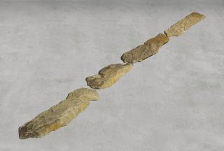 Richard Long - Stone Line