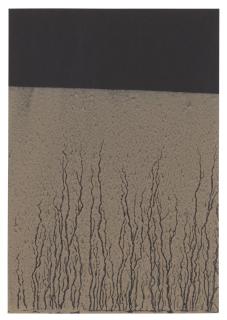 Richard Long - Untitled