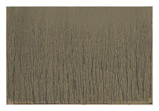 Richard Long - Untitled