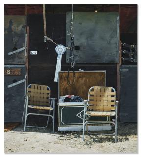 Richard Mclean - Still Life with Prize Ribbon