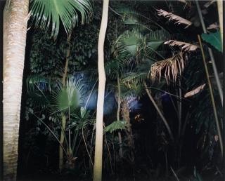 Richard Misrach - Hawaii XII, From \