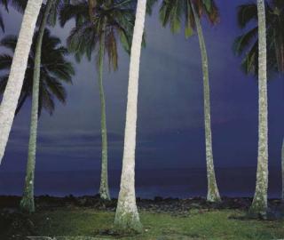 Richard Misrach - Hawaii