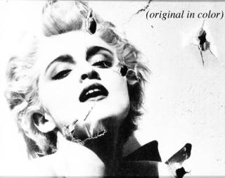 Richard Misrach - Playboy #92 (Madonna) (1990)