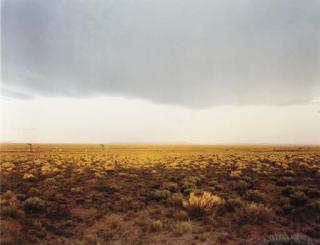 Richard Misrach - Sagebush and First Light #3