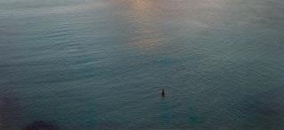 Richard Misrach - The Beach/Swimmers