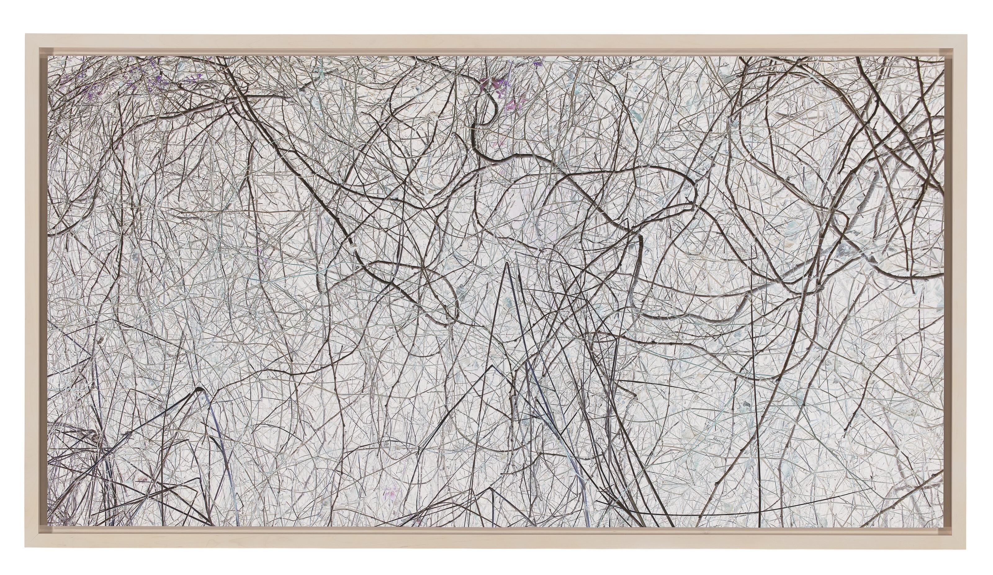 Richard Misrach - Untitled (#6986), 2010