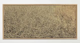 Richard Misrach - Untitled #724-96, 1996