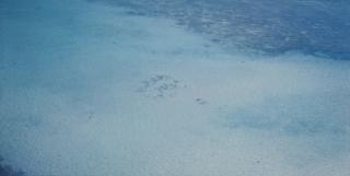 Richard Misrach - Untitled #857-02 (From On The Beach)