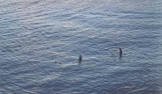 Richard Misrach - Untitled, from On the Beach, #763-03, 2003
