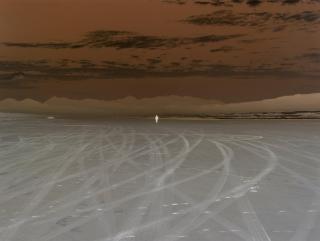 Richard Misrach - Untitled