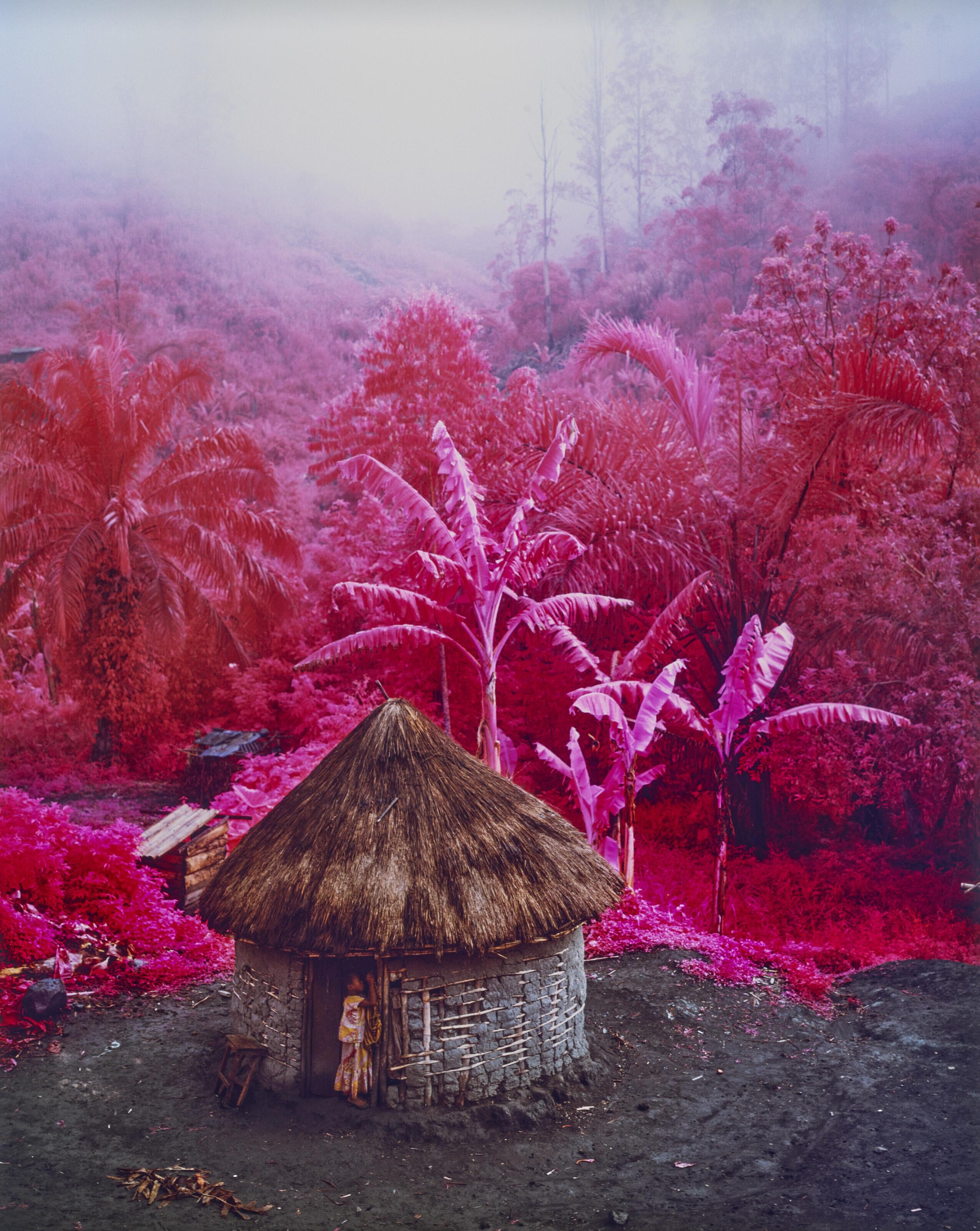 Richard Mosse - Come Out (1966) II, (from ‘Infra\' series), 2011
