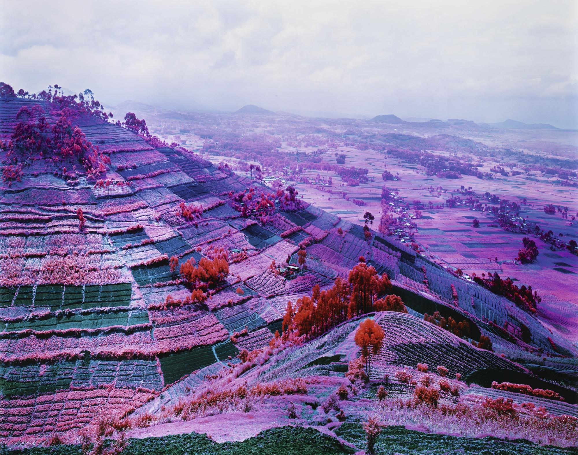 Richard Mosse - Here Come The Warm Jets, North Kivu, Eastern Congo