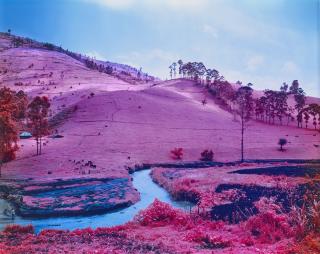 Richard Mosse - Men of Good Fortune, 2011