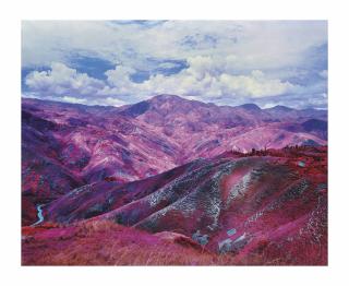 Richard Mosse - Remain in Light, 2015