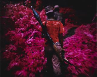 Richard Mosse - \'Ruby Tuesday (Infra Series)\'