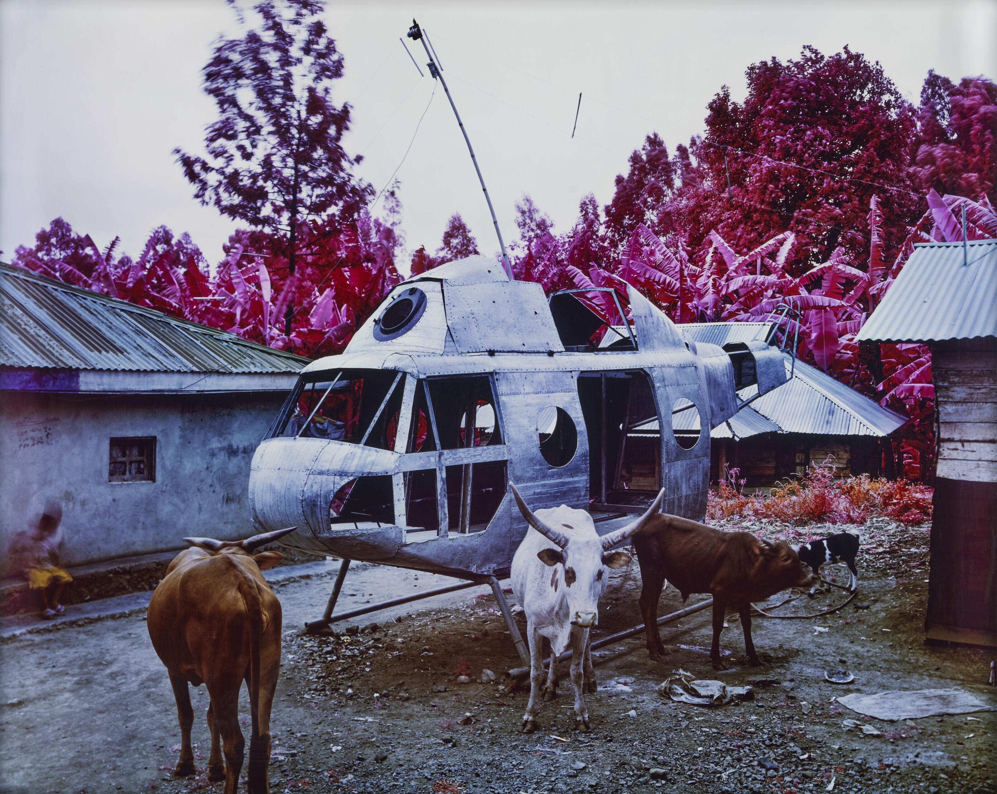Richard Mosse - Set the Controls for the Heart of the Sun, 2011