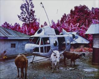 Richard Mosse - Set the Controls for the Heart of the Sun, 2011